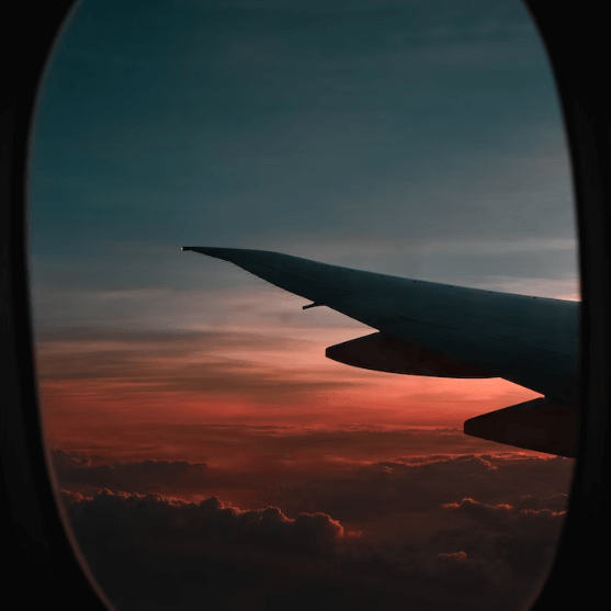 출입국 사실증명서 발급방법 - 출력_1