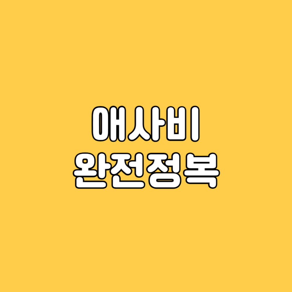 애사비 완전정복