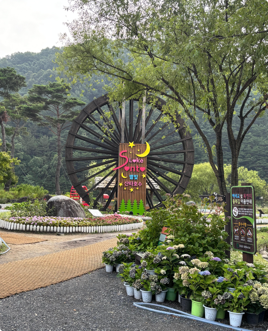 옥연지 위에서 여유롭게 돌아가는 풍차, 송해공원의 시그니처 풍경