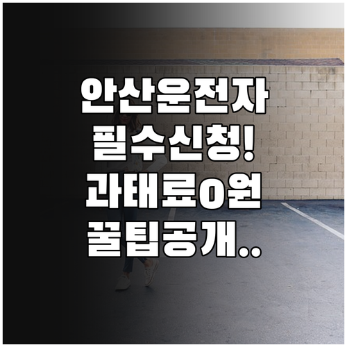 안산시 통합 주정차 단속 알림 서비스..