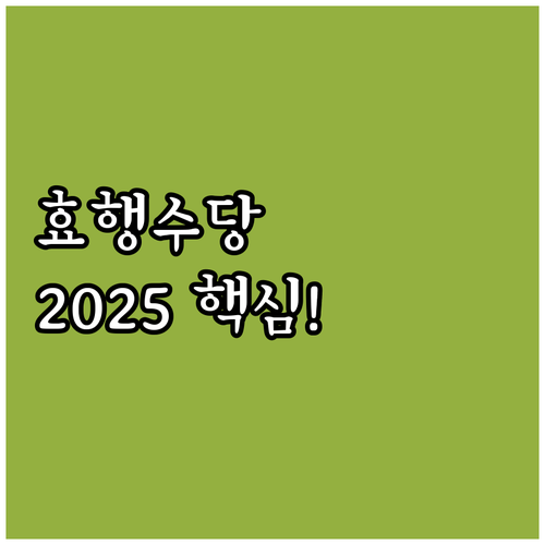 김천시 4대 가족 효행수당 2025 ..