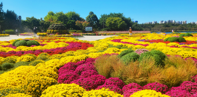 일산 꽃박람회 사진