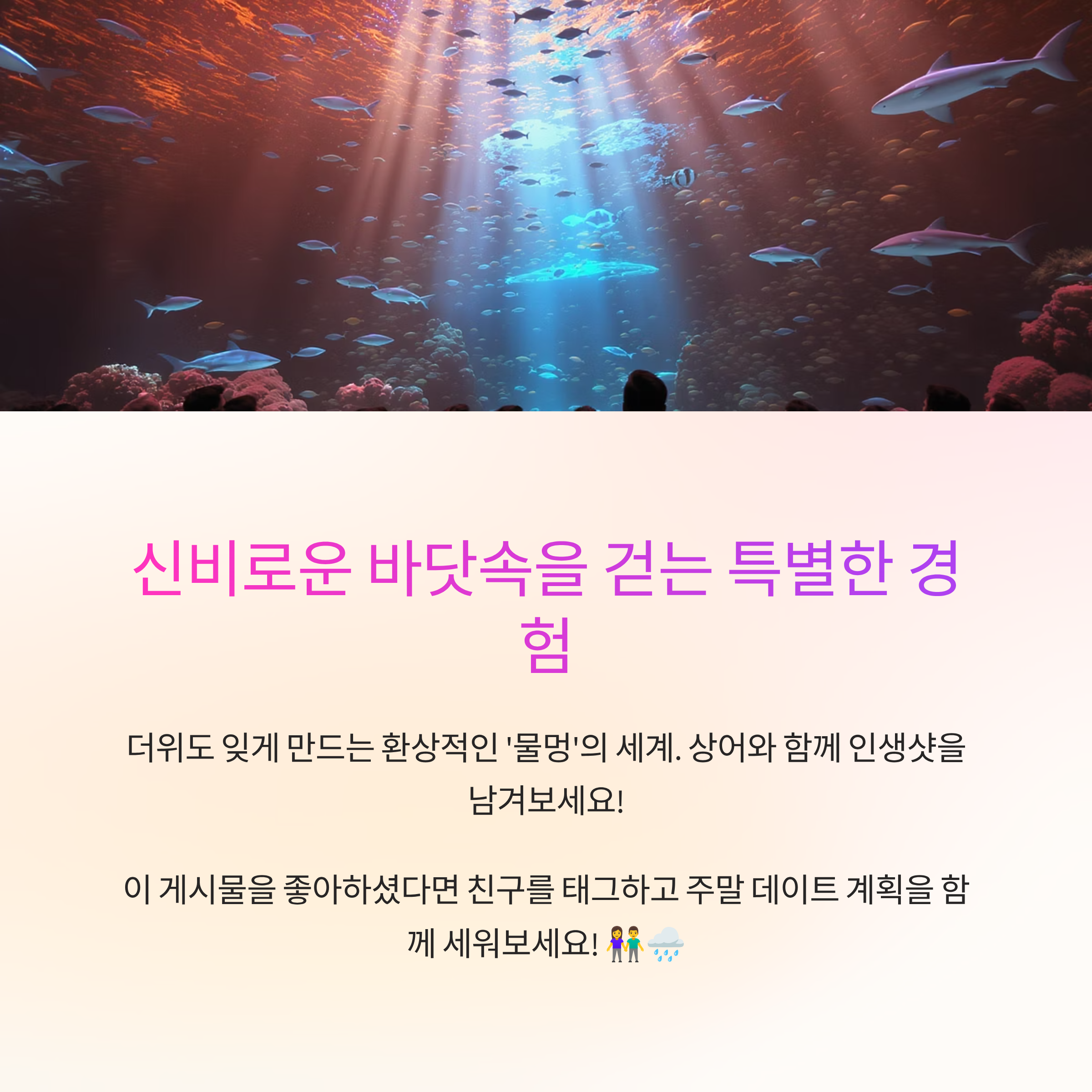 아쿠아리움
