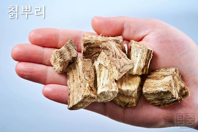 갱년기에 좋은 약초 칡뿌리 부인병에 좋은 약초