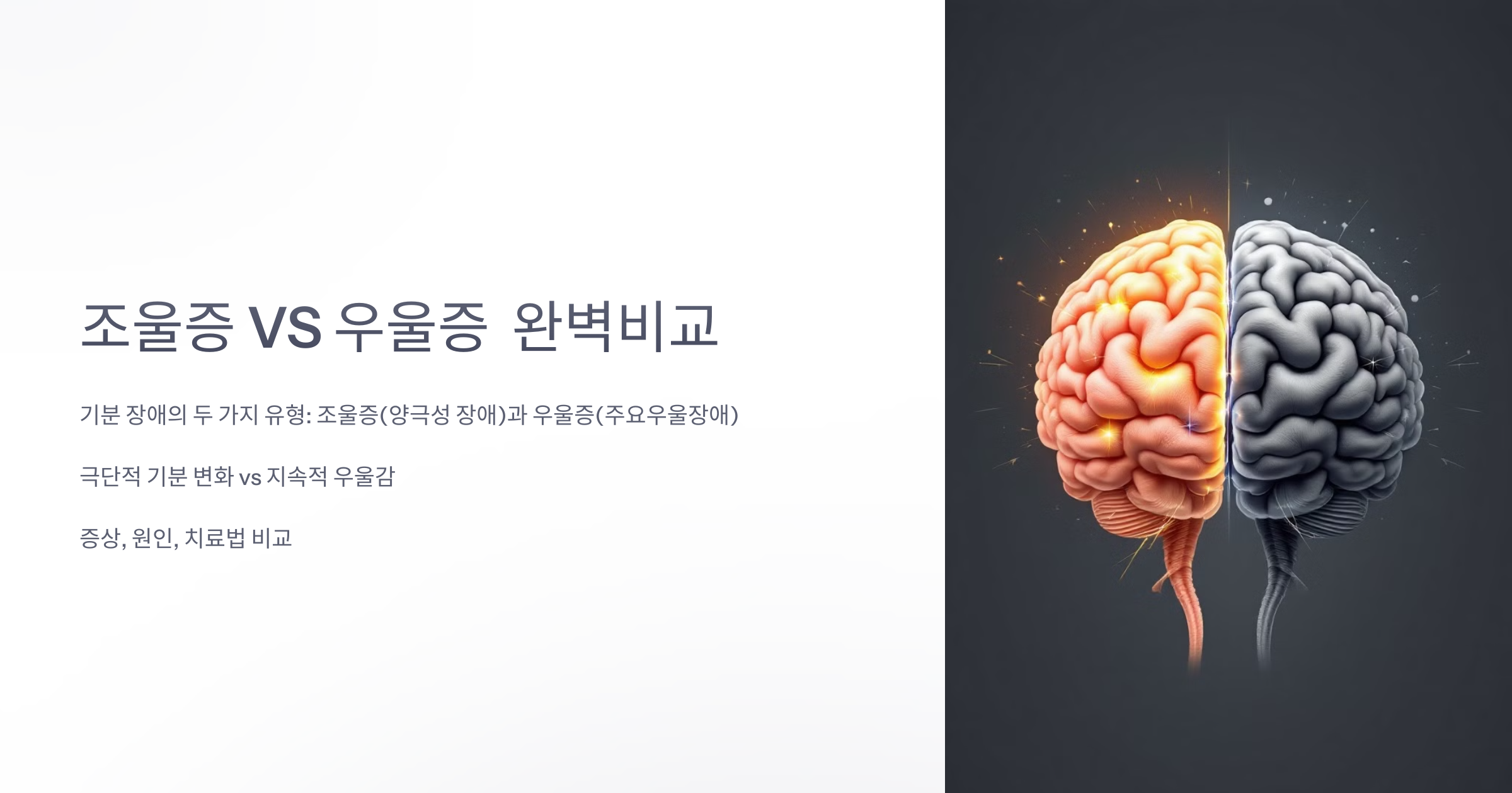 조울증 vs 우울증 완벽 비교