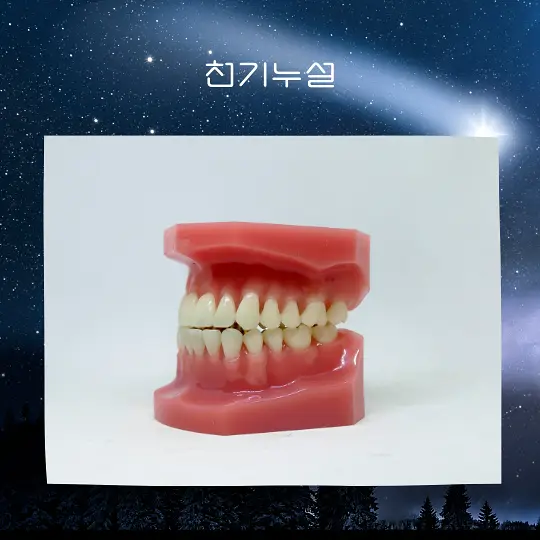 이빨빠지는꿈해몽