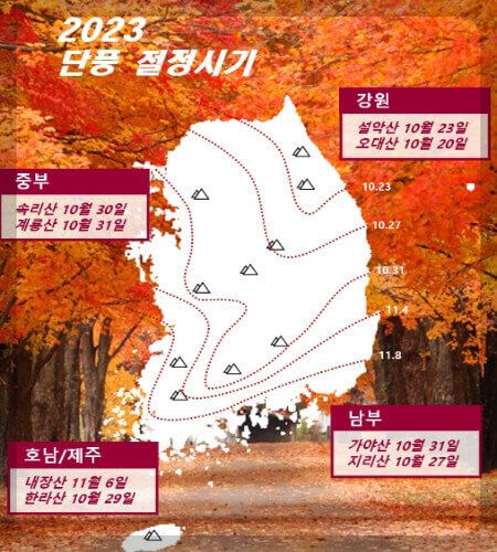 2023 단풍 절정 시기