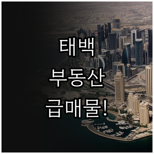 태백 교차로 부동산 아파트 빌라 토지..