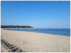 나정고운모래해변