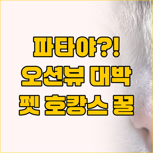 파타야 여행 필독 압도적 오션뷰와 반..