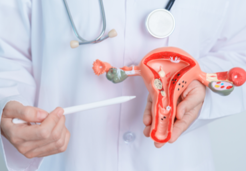 자궁모형 이미지