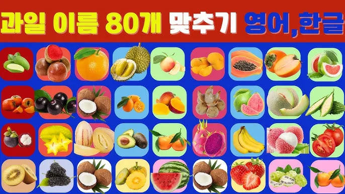과일 이름 초성 퀴즈 모든 과일이름 총정리 자료집_3