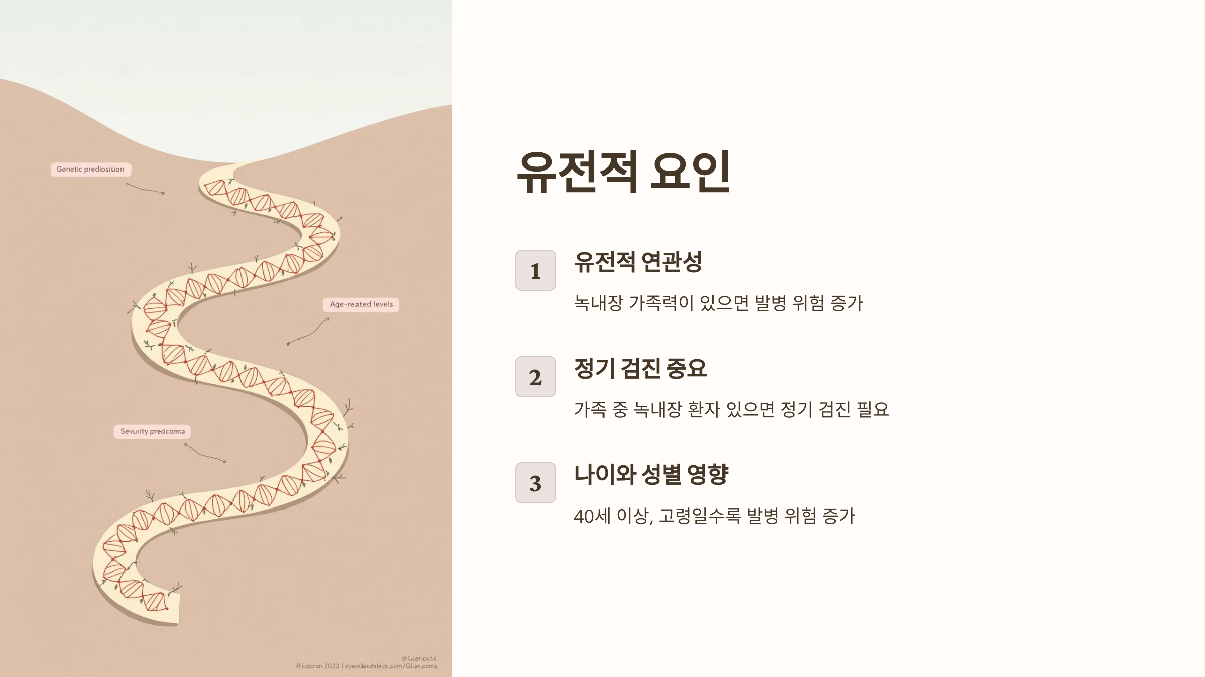 녹내장과 관련된 사진입니다.