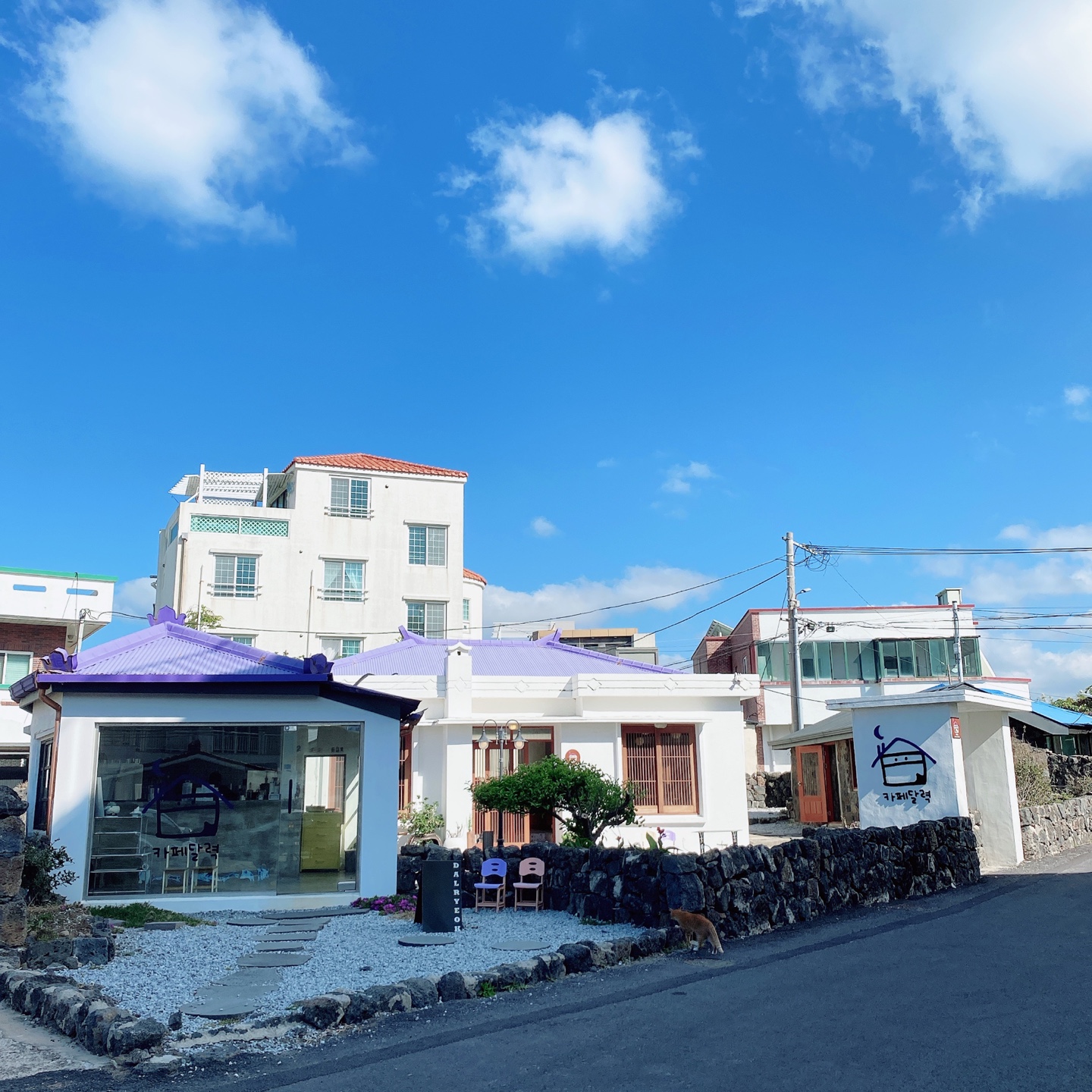 제주 애월 고내포구 보라지붕 주택개조 카페달력