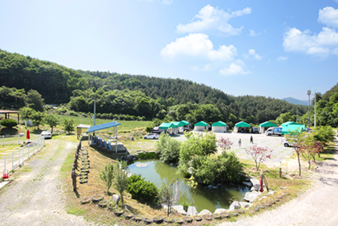 경기-가평에-링크독-애견파크-사진-입니다.