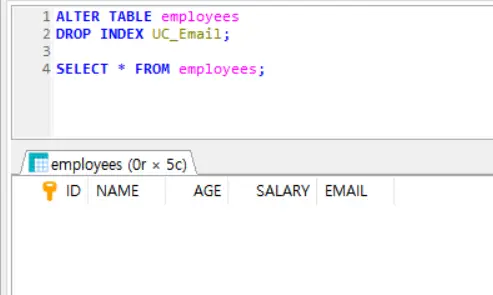 제약조건 삭제 이후