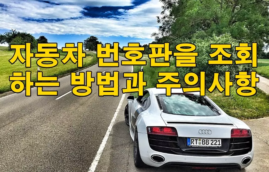 자동차 번호판을 조회 하는 방법과 주의사항