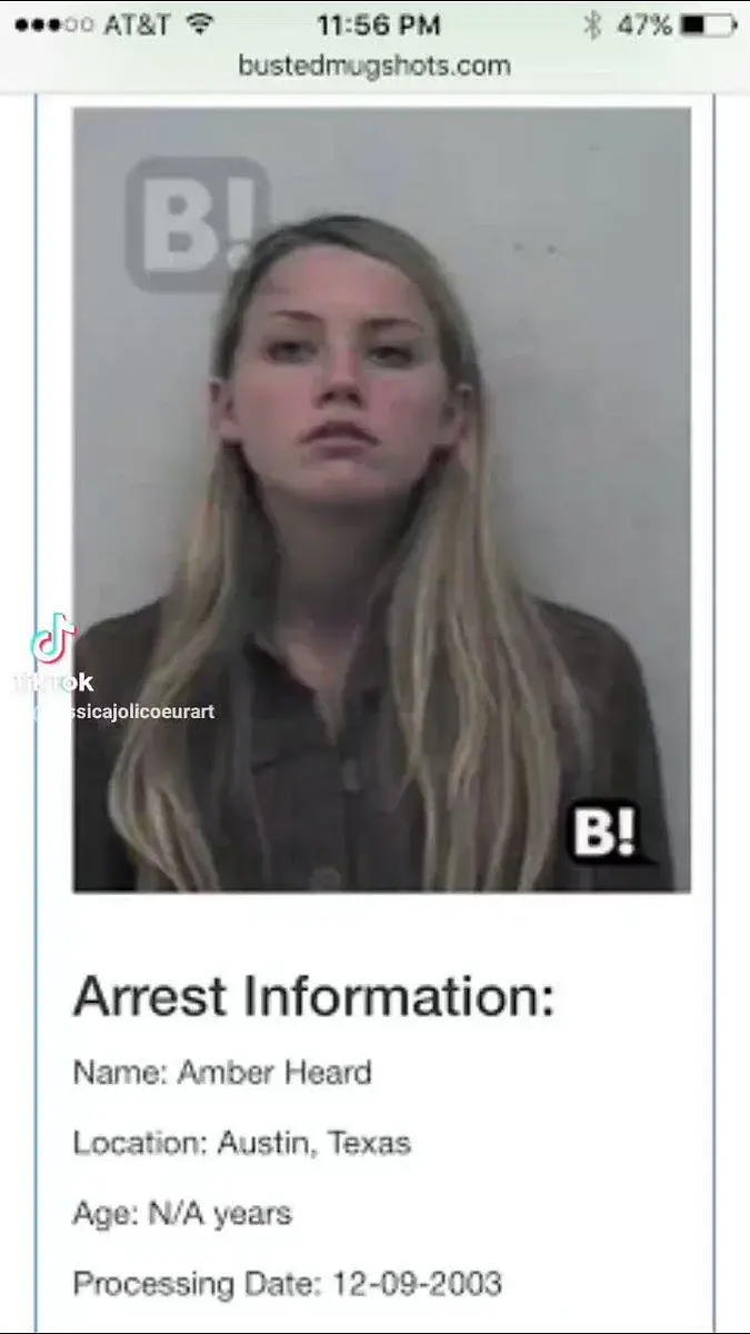 앰버 허드 과거 교통사고 가해자