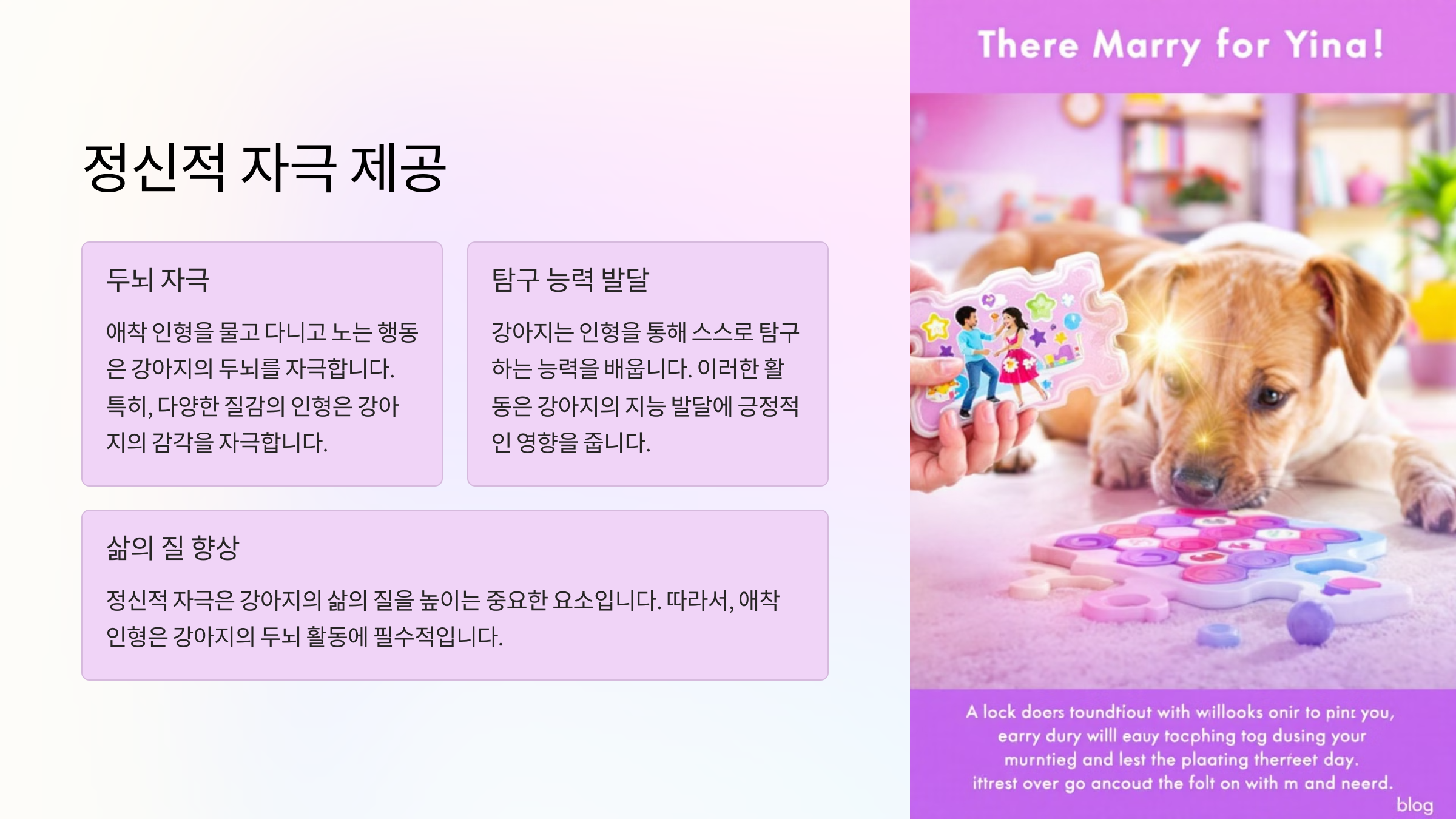 정신적 자극 제공