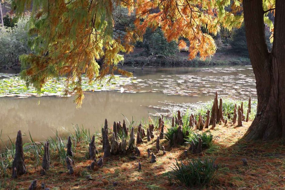 천리포 수목원 가을축제