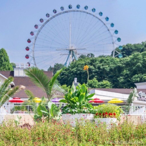 에버랜드 대관람차 사진