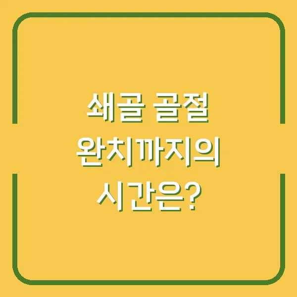 쇄골 골절 완치까지의 시간은?