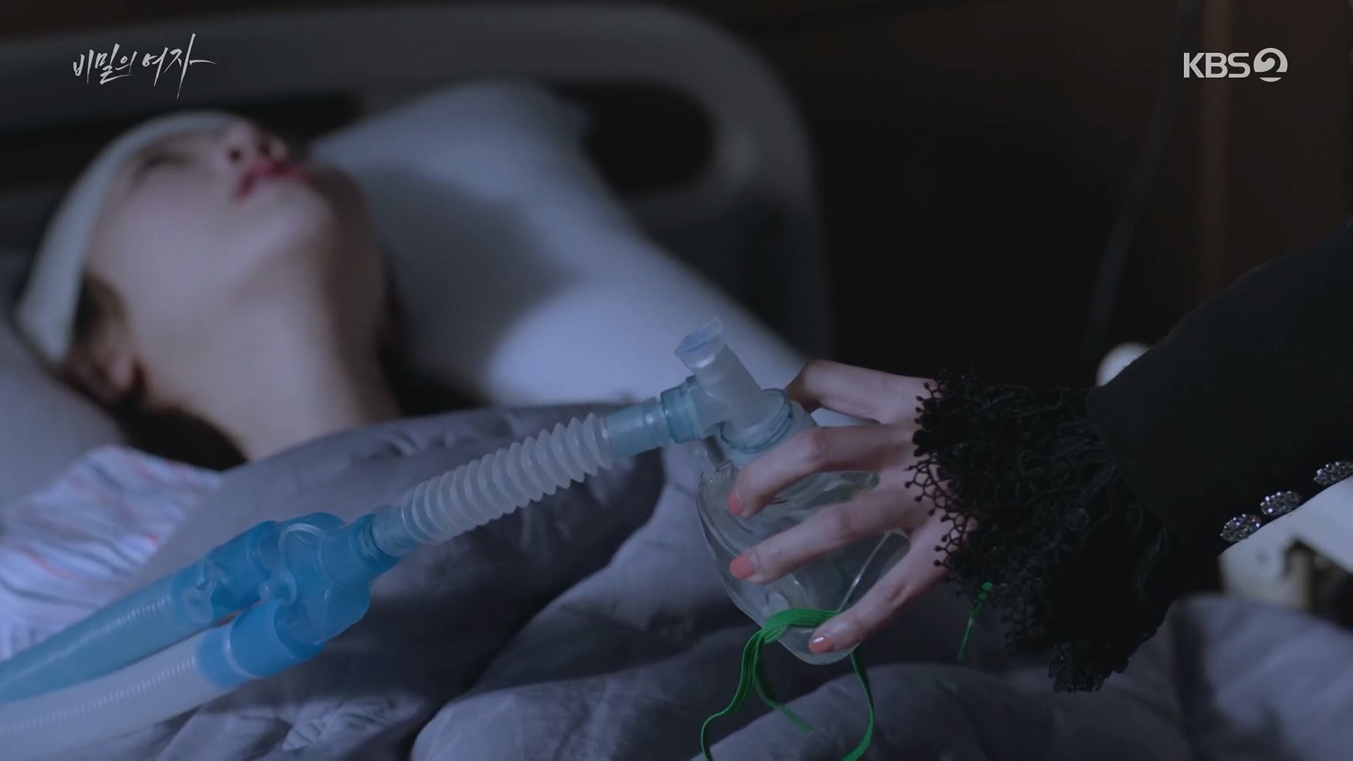 비밀의 여자 줄거리