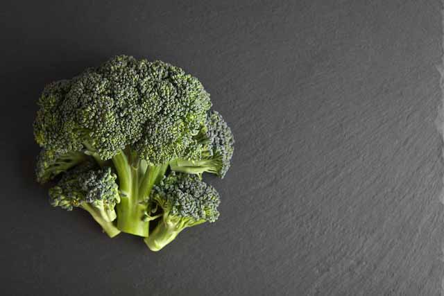 브로콜리