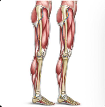 다리 저림 원인 및 해결법9