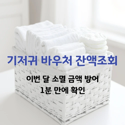 기저귀 바우처 잔액