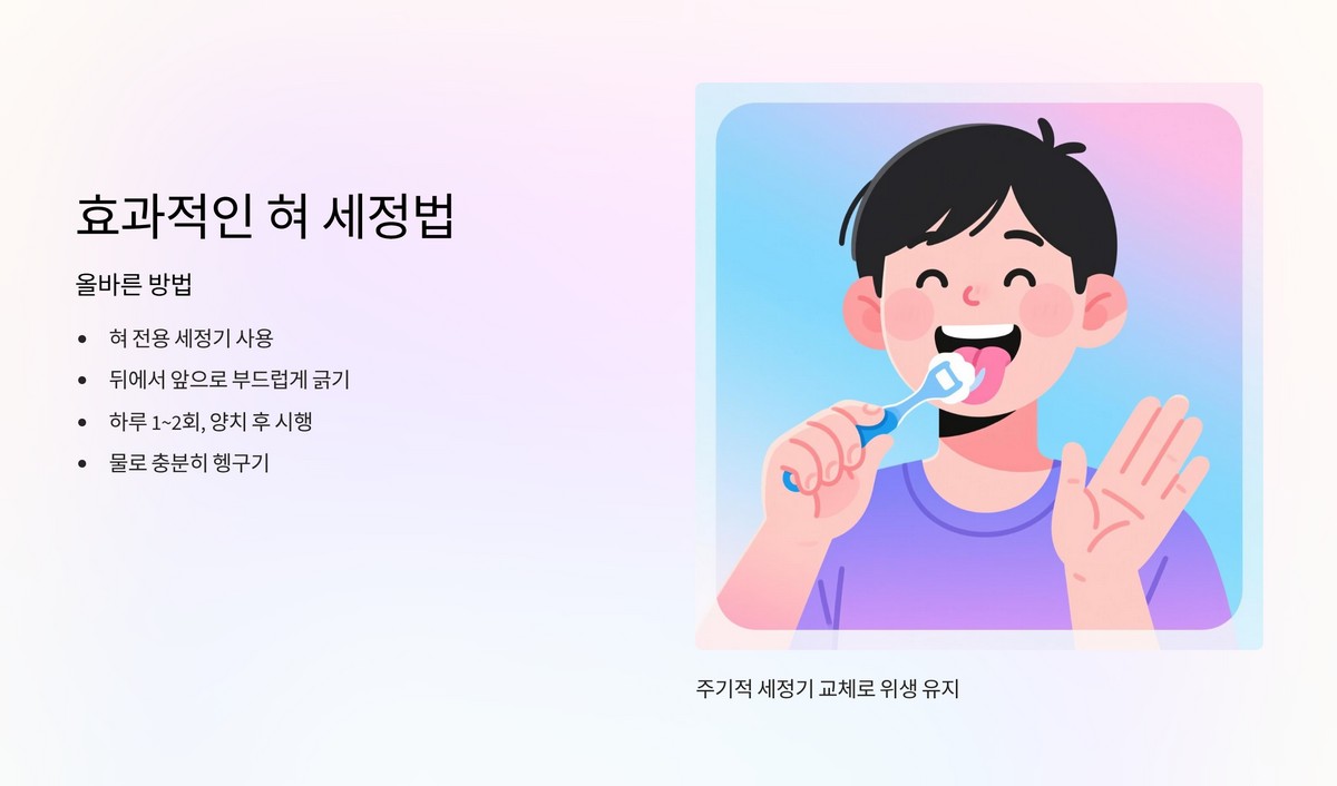 혀 세정기 사용
