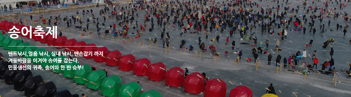 평창 송어 축제