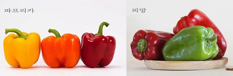 왼쪽에는 빨강, 주황, 노랑색의 파프리카와 오른쪽에는 파랑, 빨강색의 피망이 있는 이미지.