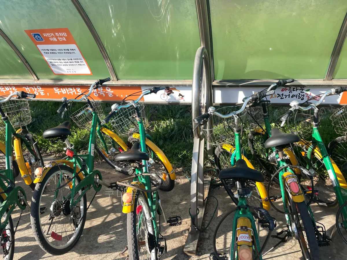 국내-당일치기-여행-가볼만한곳-레일바이크-추천