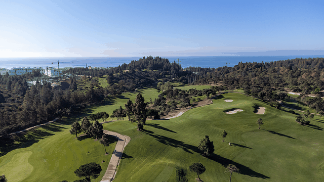 드론으로 찍은 골프장 사진