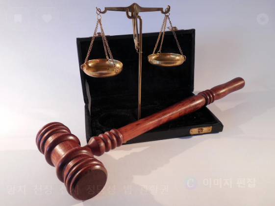 송미경 판사 누구? 이재명 운명 가를 주심 판사 등장