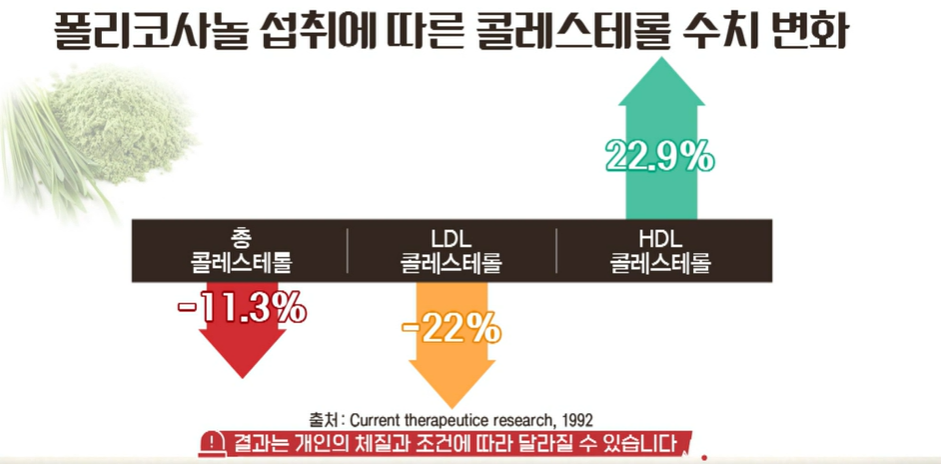 폴리코사놀 효능