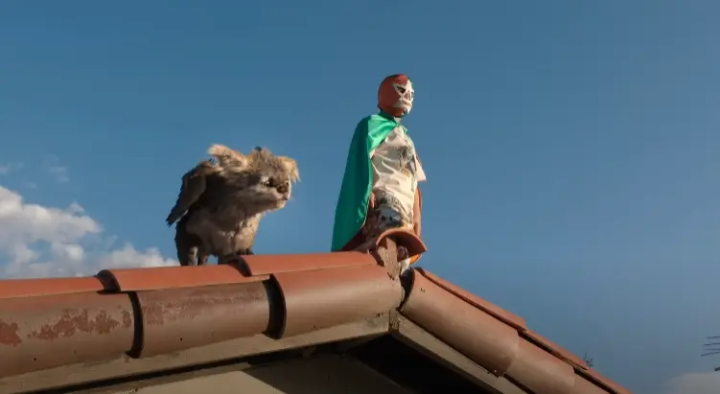 추파카브라와함께나는연습을하는아이