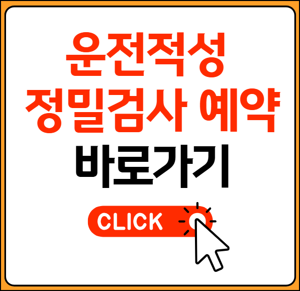 운전적성 정밀검사