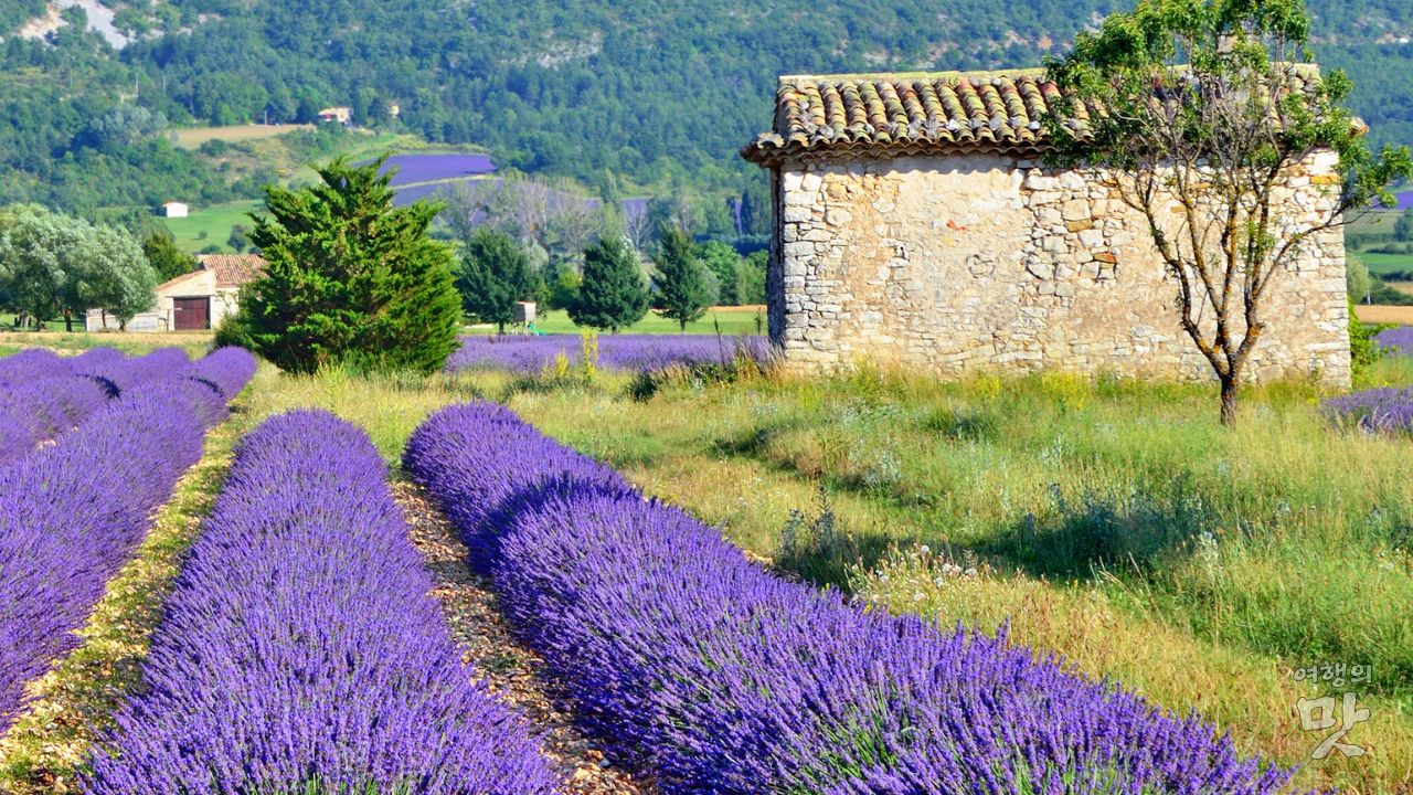 프랑스 프로방스