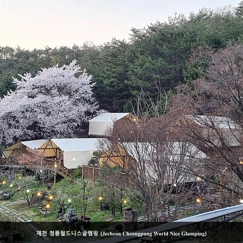 제천 청풍월드니스글램핑 (Jecheon Cheongpung World Nice Glamping)_4