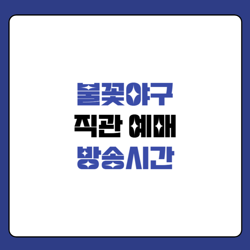 불꽃야구-직관-대표-사진