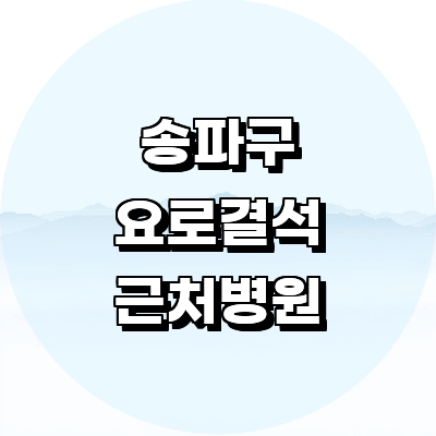 서울 송파구 요로결석 병원