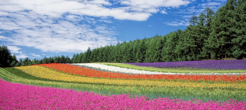 50대, 80대 부모님과 함께 여행하기 좋은곳