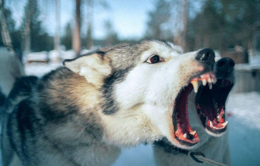 Biting