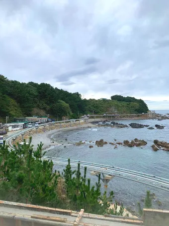 울진 가볼만한곳 베스트10 현지인 추천 필수코스_17