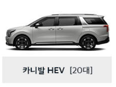 카니발-하이브리드-20대