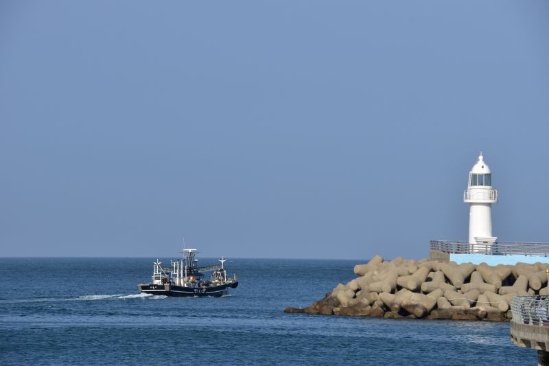 동삼동 패총 전시관에서 바라본 하리항