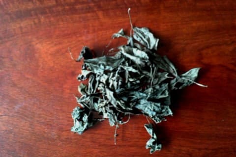 페퍼민트-효능-효과-부작용