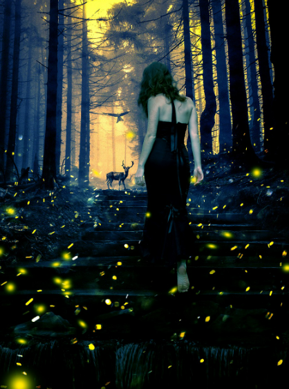 2025년 화담숲 반딧불이 이벤트